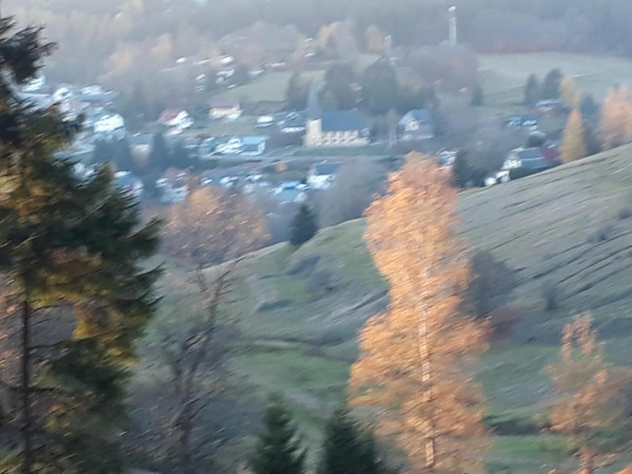 Pension Waldidyll Stützerbach Dış mekan fotoğraf